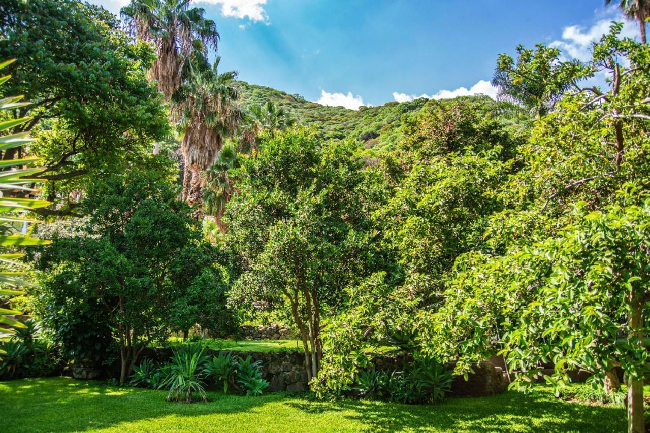 Casa Galeana- Tropical 1-Bd 1-Wc Mountain Top Luxury Suite With Stunning Views อาจิจิก ภายนอก รูปภาพ
