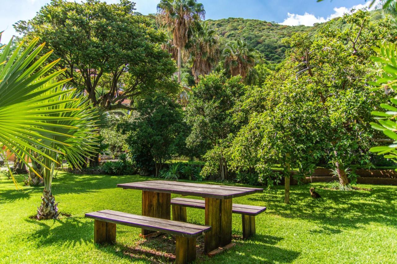 Casa Galeana- Tropical 1-Bd 1-Wc Mountain Top Luxury Suite With Stunning Views อาจิจิก ภายนอก รูปภาพ