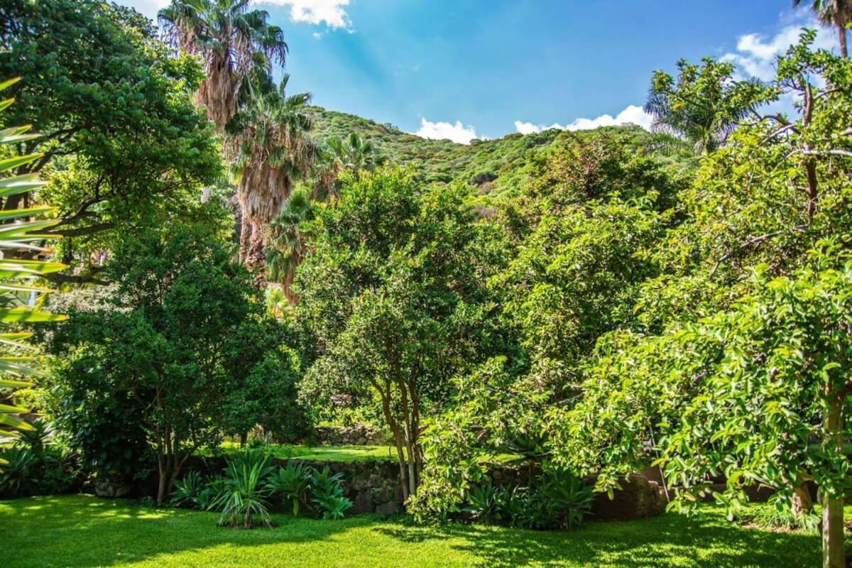 Casa Galeana- Tropical 1-Bd 1-Wc Mountain Top Luxury Suite With Stunning Views อาจิจิก ภายนอก รูปภาพ