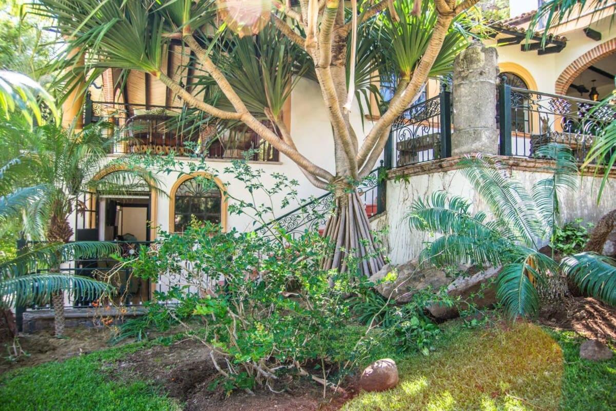 Casa Galeana- Tropical 1-Bd 1-Wc Mountain Top Luxury Suite With Stunning Views อาจิจิก ภายนอก รูปภาพ