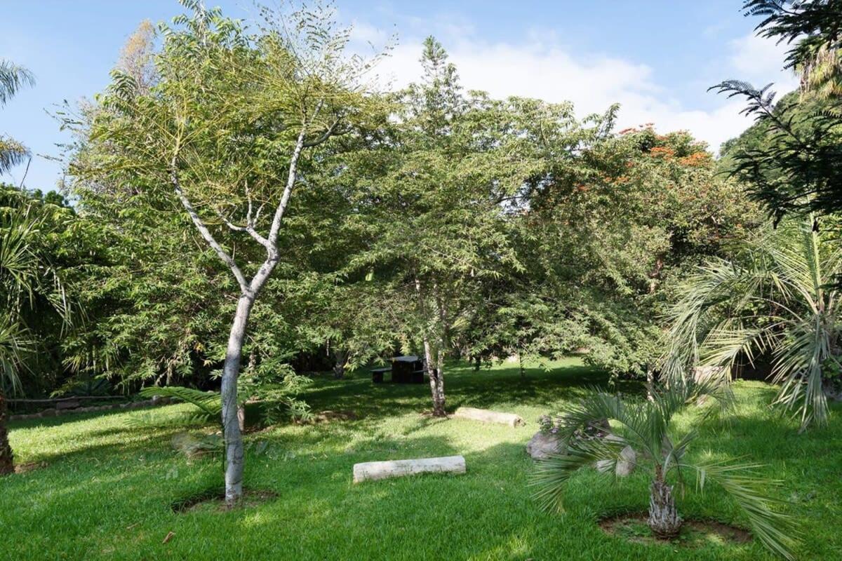 Casa Galeana- Tropical 1-Bd 1-Wc Mountain Top Luxury Suite With Stunning Views อาจิจิก ภายนอก รูปภาพ