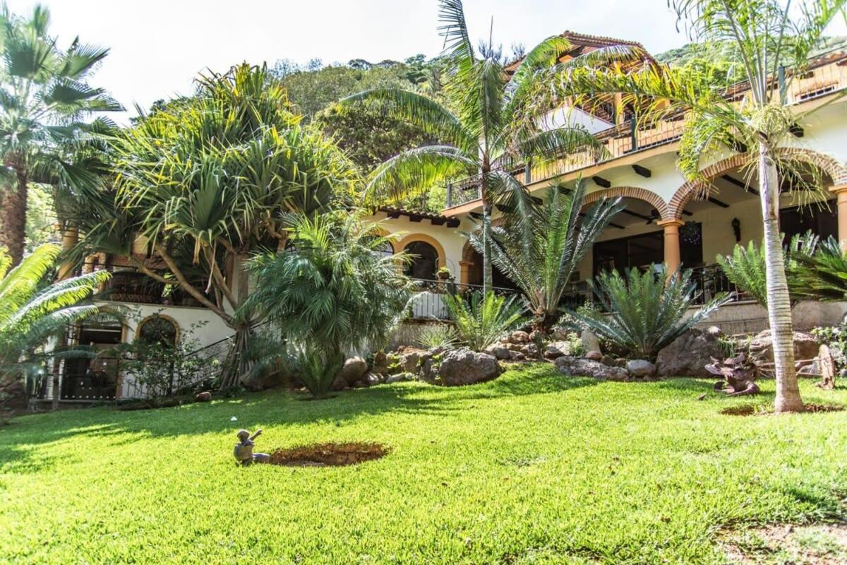 Casa Galeana- Tropical 1-Bd 1-Wc Mountain Top Luxury Suite With Stunning Views อาจิจิก ภายนอก รูปภาพ
