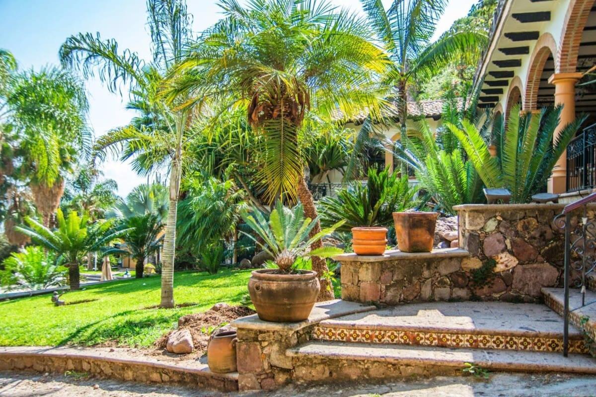 Casa Galeana- Tropical 1-Bd 1-Wc Mountain Top Luxury Suite With Stunning Views อาจิจิก ภายนอก รูปภาพ